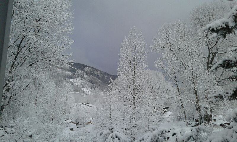 Thanksgiving White (1)