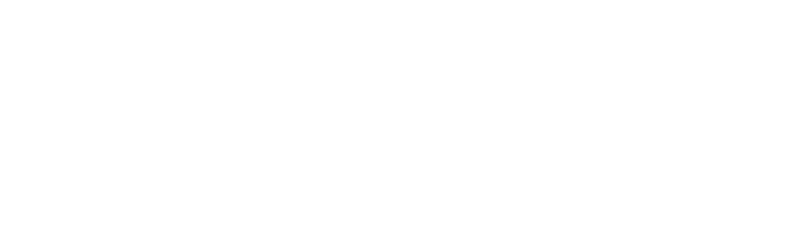APCHA primary logo - white